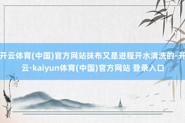 开云体育(中国)官方网站抹布又是进程开水清洗的-开云·kaiyun体育(中国)官方网站 登录入口