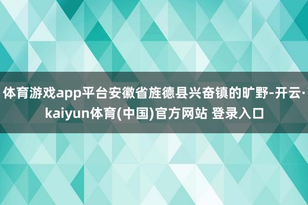 体育游戏app平台安徽省旌德县兴奋镇的旷野-开云·kaiyun体育(中国)官方网站 登录入口