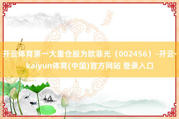 开云体育第一大重仓股为欧菲光（002456）-开云·kaiyun体育(中国)官方网站 登录入口