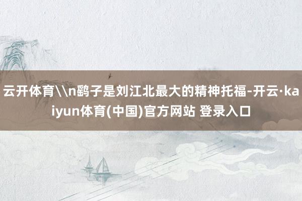 云开体育\n鹞子是刘江北最大的精神托福-开云·kaiyun体育(中国)官方网站 登录入口