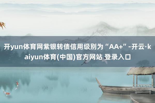 开yun体育网紫银转债信用级别为“AA+”-开云·kaiyun体育(中国)官方网站 登录入口